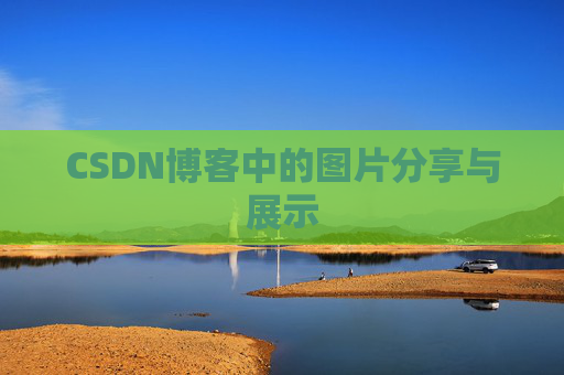 CSDN博客中的图片分享与展示